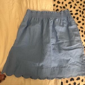 J. Crew Factory Light Blue A-Line Skirt